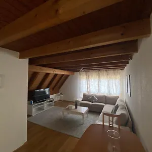 Get Cozy Family Flat Zurich